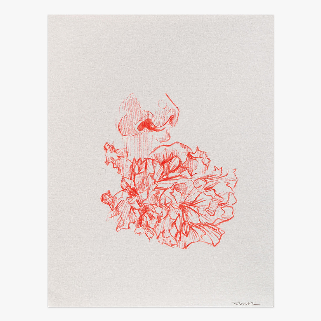 The Beginning Of The Road print by Tamara Alves on sale at Underdogs gallery