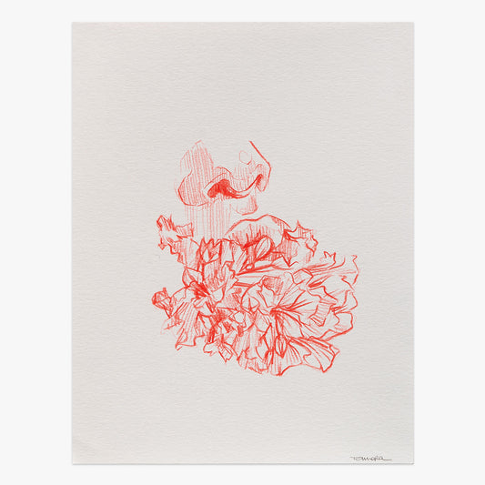 The Beginning Of The Road print by Tamara Alves on sale at Underdogs gallery