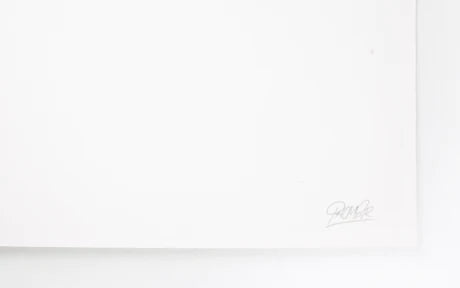 These Walls Don T Lie print by Phomer on sale at Underdogs gallery