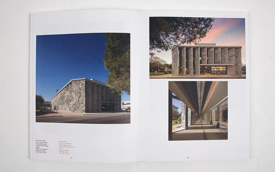 Underdogs Artists Collection print by Alexandre Farto aka Vhils on sale at Underdogs gallery