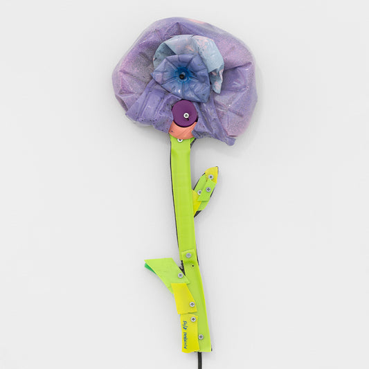 Blossom print by Fiumani on sale at Underdogs gallery