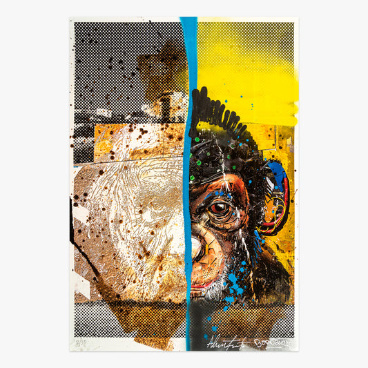 Buy the Evolution artwork by Bordalo II & Alexandre Farto aka Vhils now at Underdogs