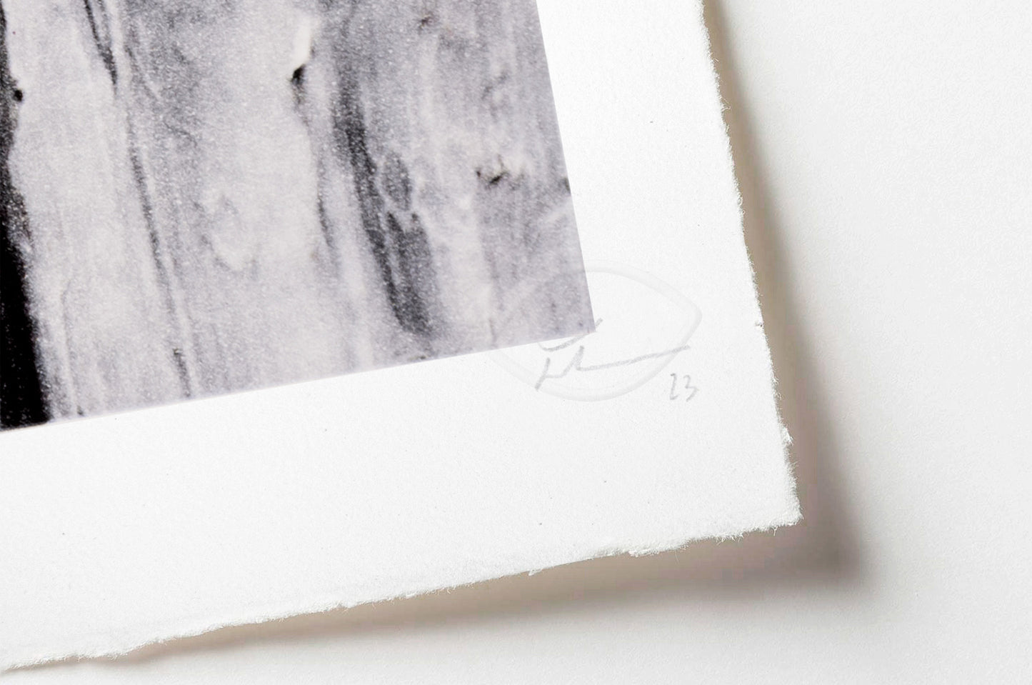 28 Millimètres, Women Are Heroes, Action in Phnom Penh, Open Eyes, Cambodge