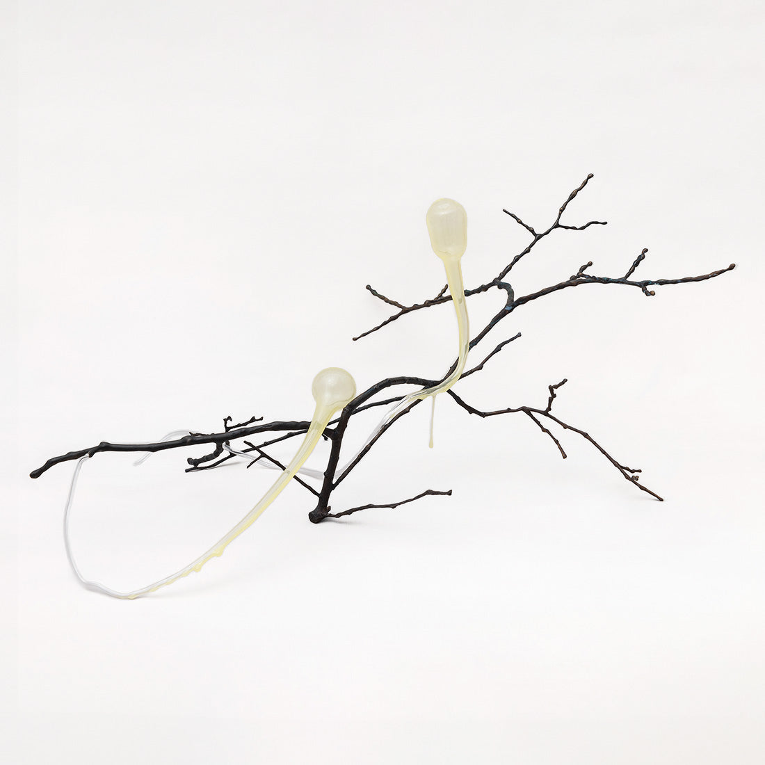 Inês Teles Social ameba sculpture featuring delicate branch-like bronze forms with translucent organic elements on a white background