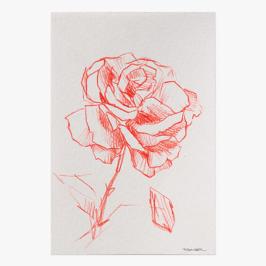 The Beginning Of The Road print by Tamara Alves on sale at Underdogs gallery