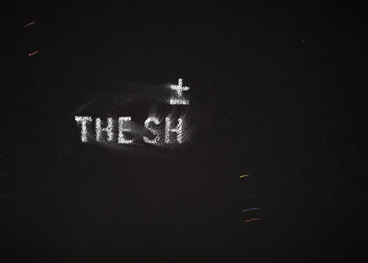 The shadow of what we were #6