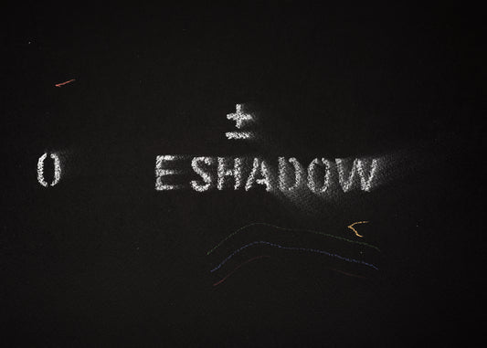 The shadow of what we were #12