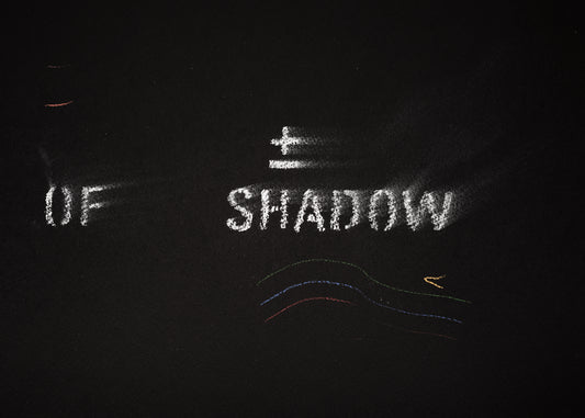 The shadow of what we were #13