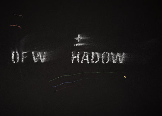 The shadow of what we were #14