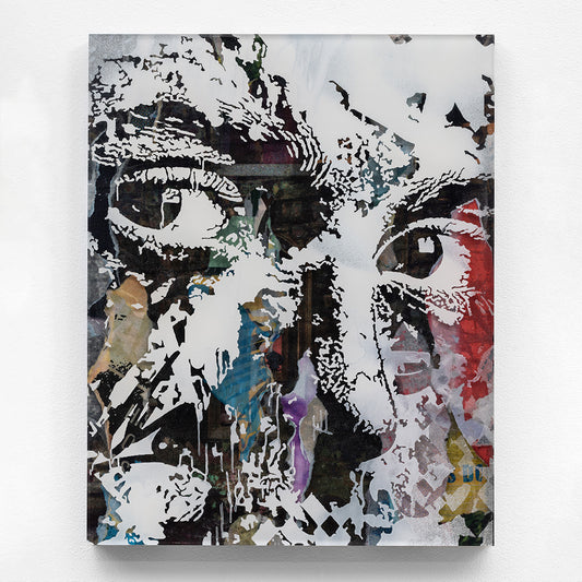 Dissect Series print by Alexandre Farto aka Vhils on sale at Underdogs gallery