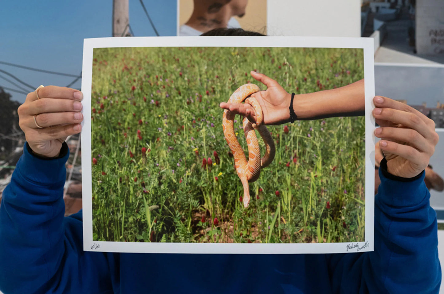 Buy the Serpente Digital Print artwork by Herberto Smith now at Underdogs