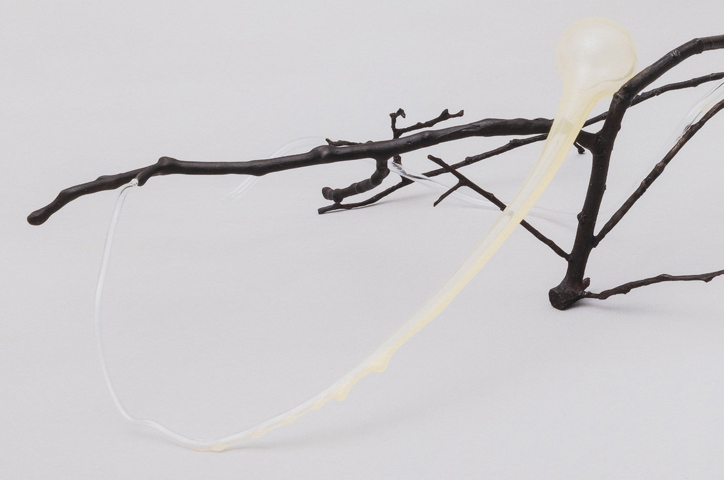 Social Ameba print by Inês Teles on sale at Underdogs gallery