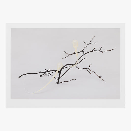 Social Ameba print by Inês Teles on sale at Underdogs gallery