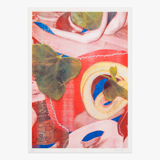 Natureza Viva Risograph print by Rita RA on sale at Underdogs gallery