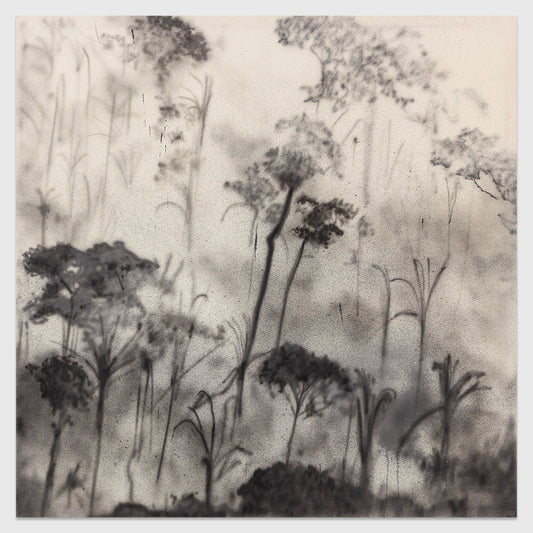 Bosque Terciario print by Escif on sale at Underdogs gallery