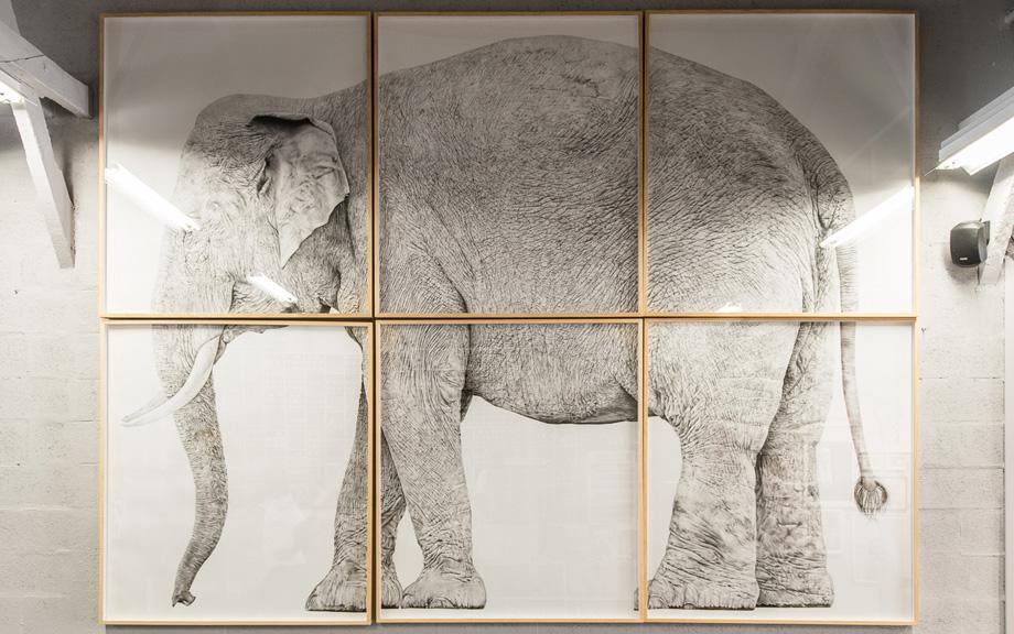 Buy the Solo Show artwork by Teresa Esgaio now at Underdogs