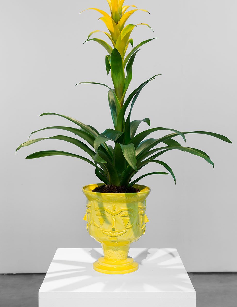 Limited edition Solo Show piece by AkaCorleone available at Underdogs