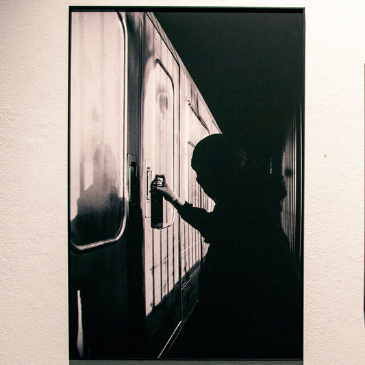 Feeling Lucky, Brussels