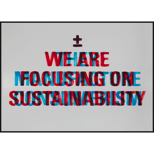 Sustainability/Consumerism