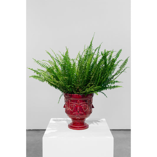 Collectible Solo Show art piece by AkaCorleone, sold via Underdogs