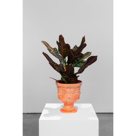 Collectible Solo Show art piece by AkaCorleone, sold via Underdogs