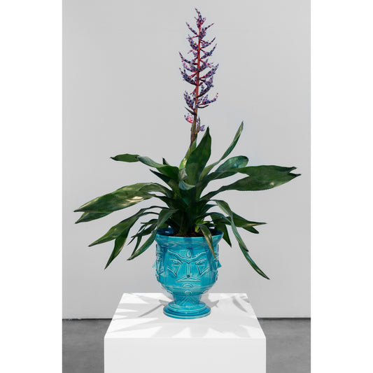 Buy the Solo Show artwork by AkaCorleone now at Underdogs