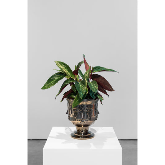 Limited edition Solo Show piece by AkaCorleone available at Underdogs