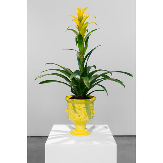 Solo Show print by AkaCorleone on sale at Underdogs gallery