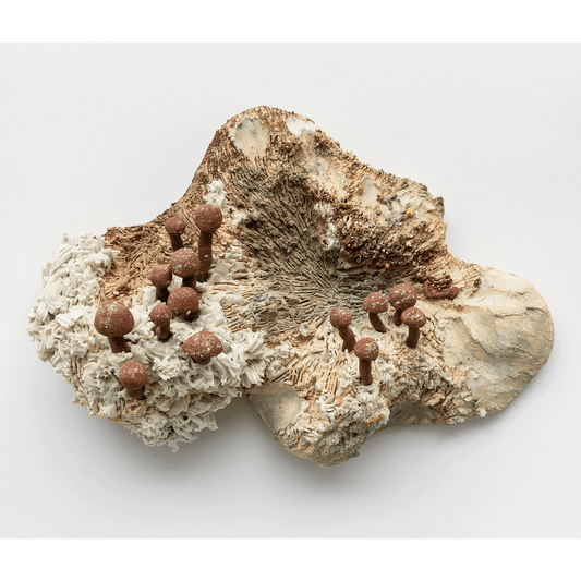 Buy the Mold artwork by Ana + Betânia now at Underdogs