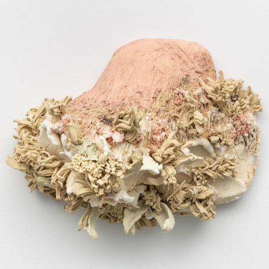 Powder Pink print by Ana + Betânia on sale at Underdogs gallery