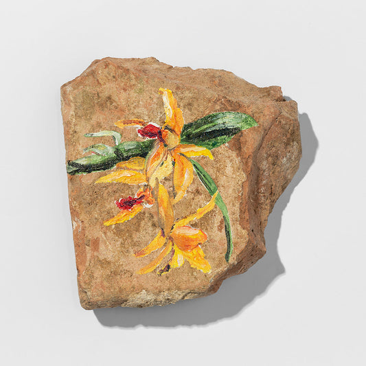 Flores Salvajes print by Escif on sale at Underdogs gallery