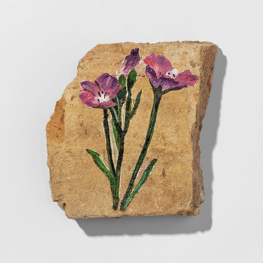 Flores Salvajes print by Escif on sale at Underdogs gallery