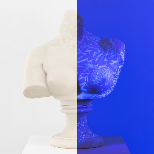 Venus Body Fragment print by PichiAvo on sale at Underdogs gallery