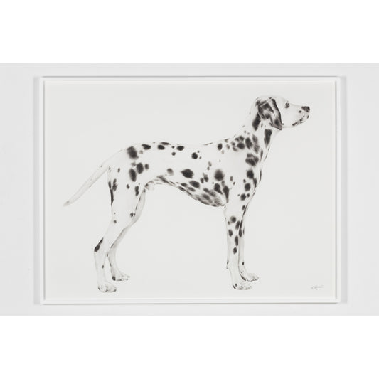 Solo Show print by Teresa Esgaio on sale at Underdogs gallery