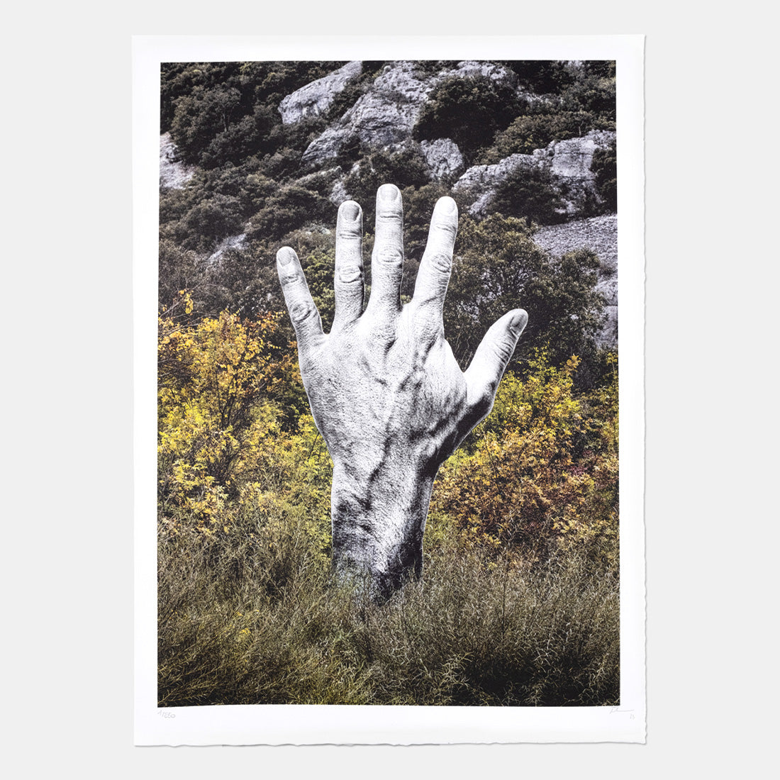 Image Product - Empreinte, Chauvet, France