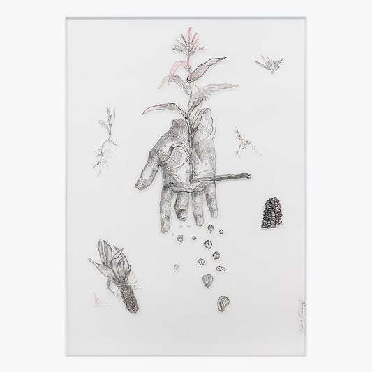 Milho Sementes De Resistencia print by Cássio Markowski on sale at Underdogs gallery