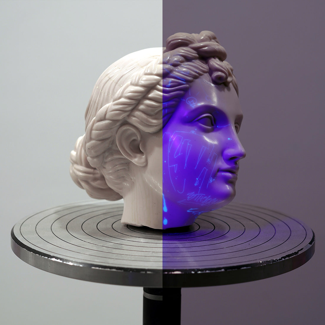Euphrosyne head fragment