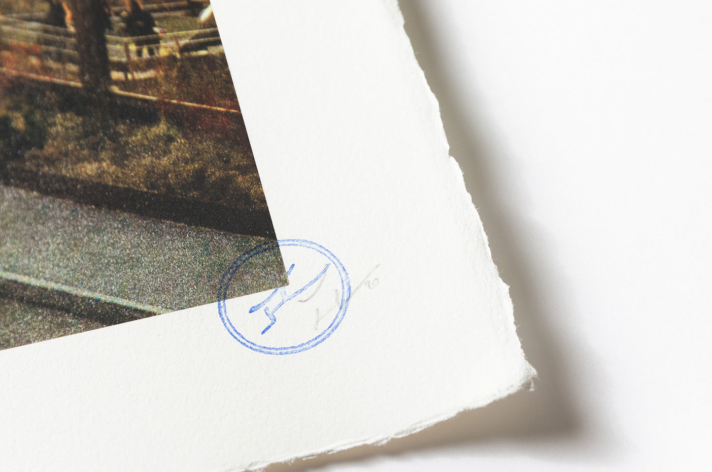 The Chronicles of New York City, Domino Park, USA