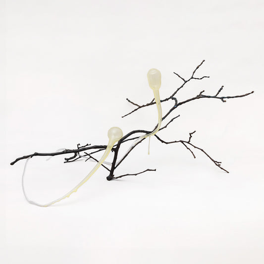 Inês Teles Social ameba sculpture featuring delicate branch-like bronze forms with translucent organic elements on a white background
