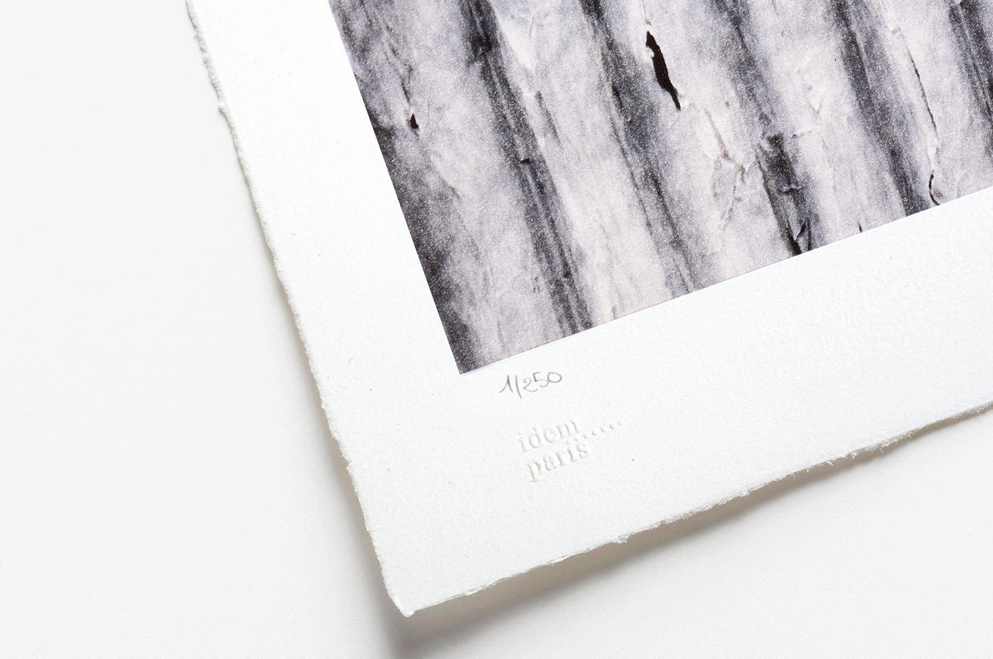 28 Millimètres, Women Are Heroes, Action in Phnom Penh, Open Eyes, Cambodge