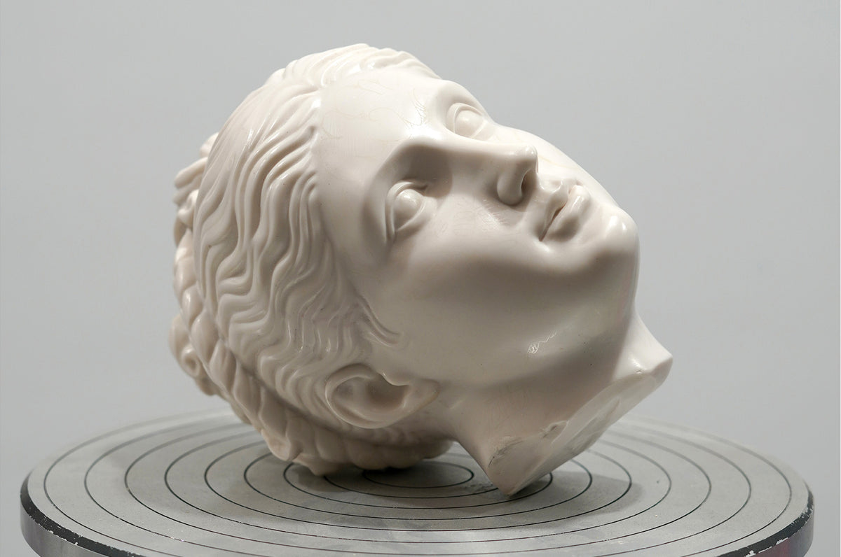 Aglaea head fragment