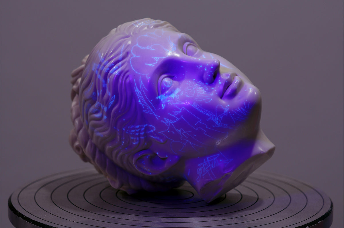 Aglaea head fragment