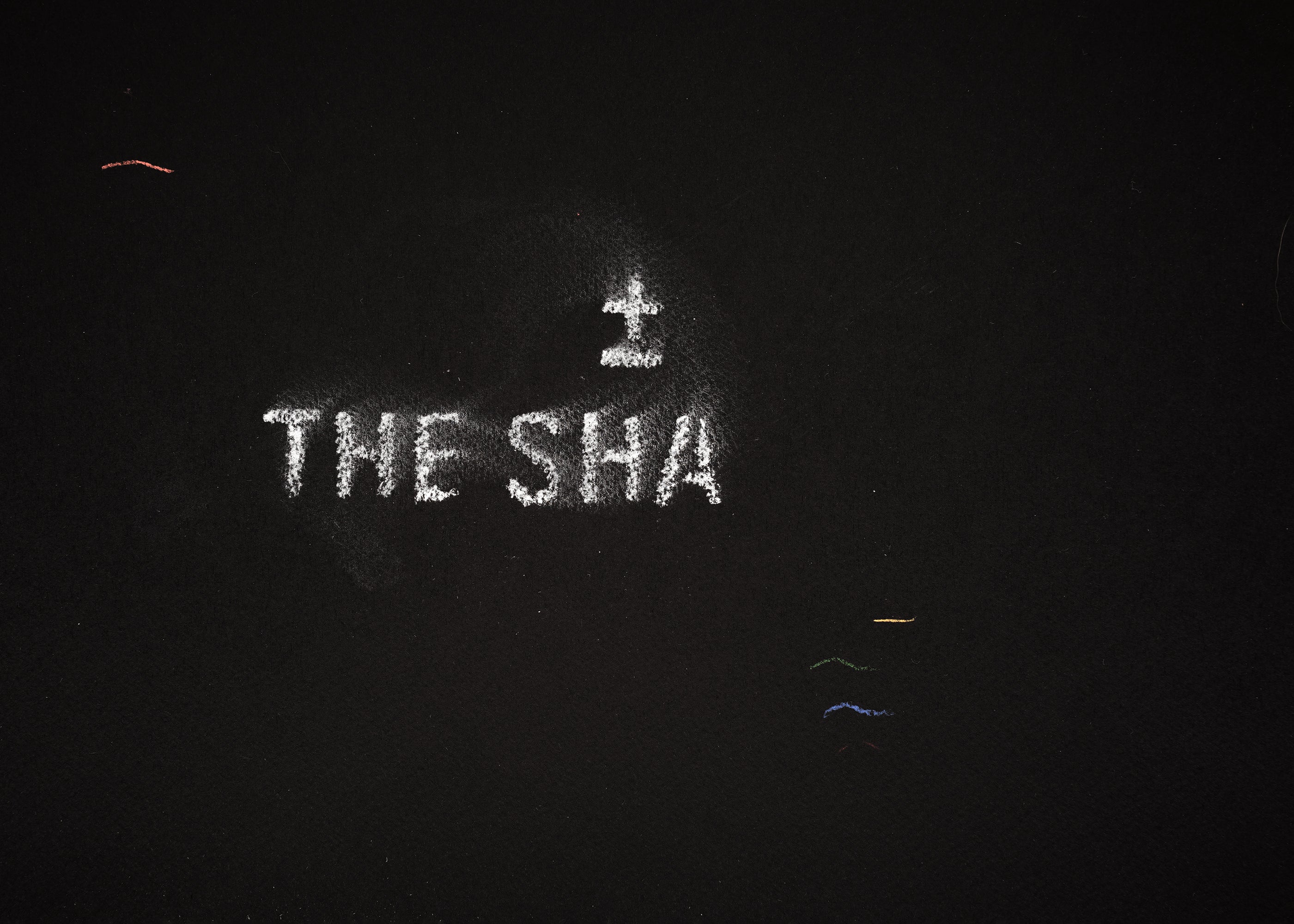 The shadow of what we were #7