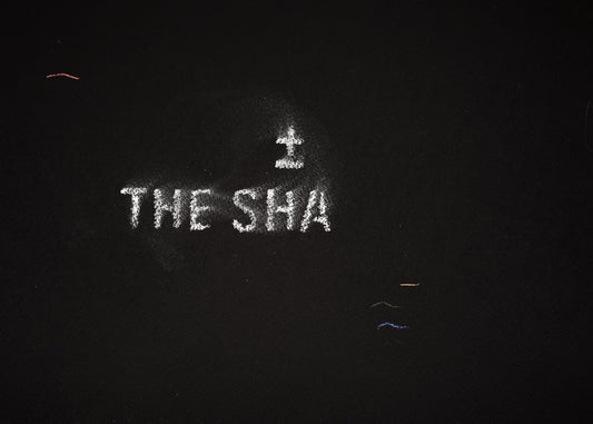 The shadow of what we were #7
