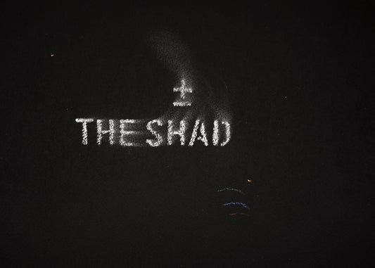 The shadow of what we were #8