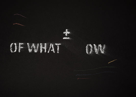 The shadow of what we were #17