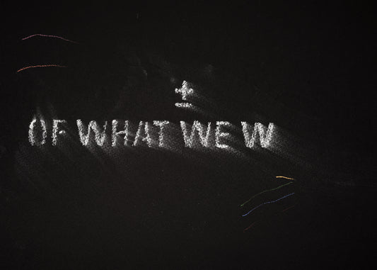 The shadow of what we were #20