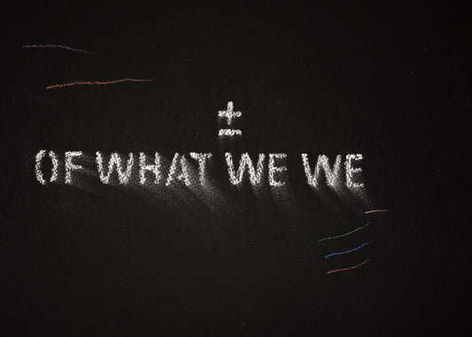 The shadow of what we were #21