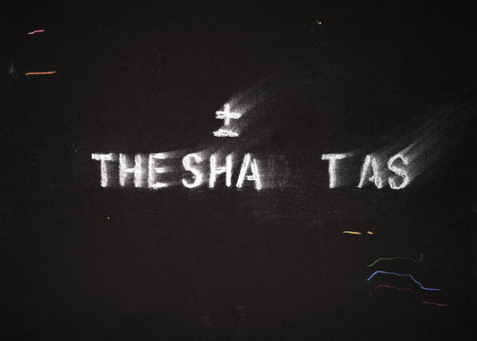 The shadow of what we were #77
