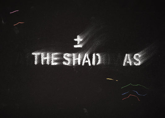 The shadow of what we were #78